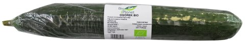 OGÓREK DŁUGI ŚWIEŻY BIO (około 0,24 kg)